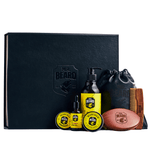 Load image into Gallery viewer, Mr. Beard Premium Beard Kit - ladyy
